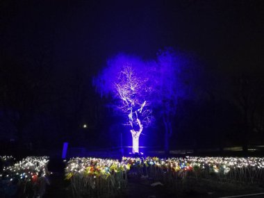İtalya, Lombardiya - 16 Şubat 2018: 16 Şubat 2018 Brescia Şatosu 'ndaki Uluslararası Işık Gösterisi Cidneon manzarası, İtalya.