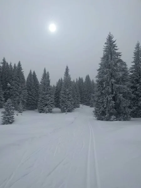 Kar yığınları arasında kar pisti olan kış manzarası kar fırtınası, Folgaria kayak merkezi, İtalya.