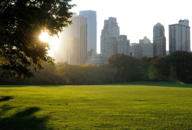 Central Park, New York