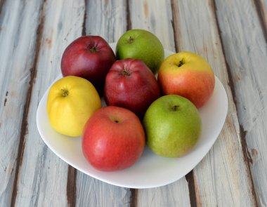 renk elma bir tabak içinde