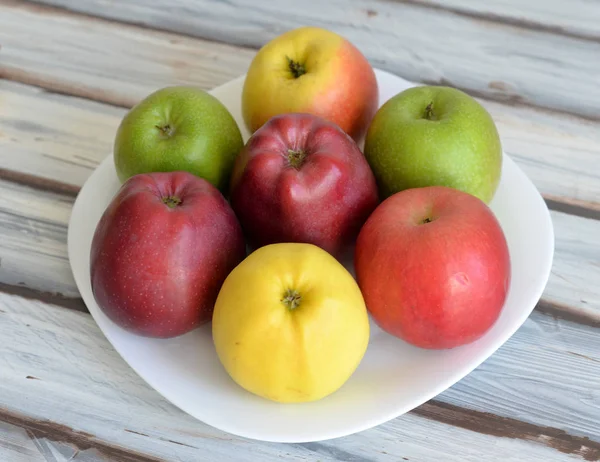Pommes de couleur dans une assiette — Photo