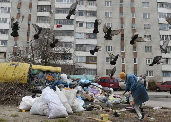 Prullenbak. Afval containers, op straat van Lviv. Prullenbak — Stockfoto