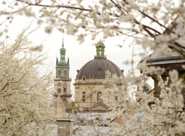 Korniakta Πύργος και η εκκλησία της ευλογημένο ευχαριστίας (πρώην Δομινικανή μοναστήρι εκκλησία), Λβιβ, Ουκρανία — Φωτογραφία Αρχείου