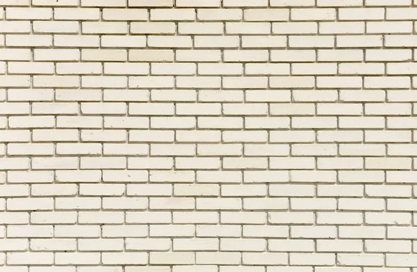 White brick wall background, beige, yellowish