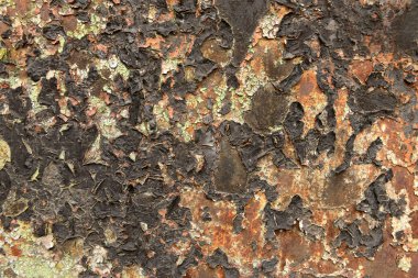 eski duvar, arka plan, doku, alçı, eski püskü boya, eski çimento alçı eski püskü boya,