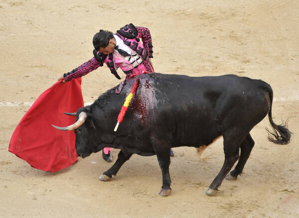 Toreros выступает с корридой на арене корриды Plaza de Toros de Las Ventas в Мадриде
.
