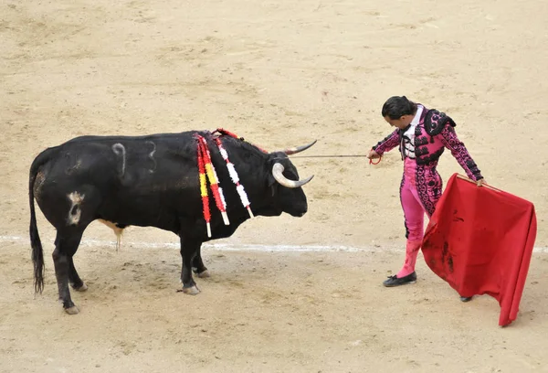 Toreros está realizando uma tourada (Corrida) na arena de touradas Plaza de Toros de Las Ventas em Madrid . — Fotografia de Stock