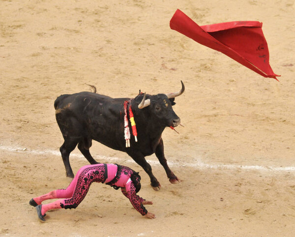 Toreros выступает с корридой на арене корриды Plaza de Toros de Las Ventas в Мадриде
.
