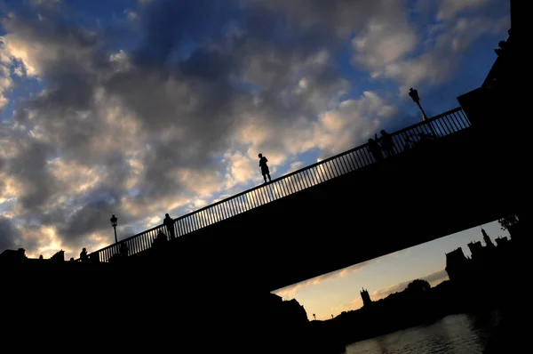 The man standing on the bridge before jumping into the river, Paris, France