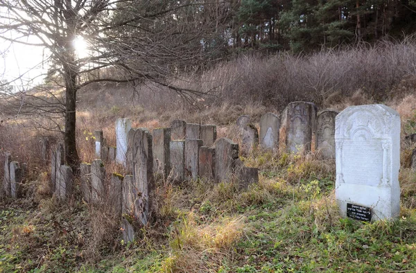 Eski Yahudi Mezarlığı'eski Sambir, Lviv region, Ukrayna. — Stok fotoğraf