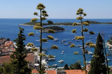 Hvar harbor, Hırvatistan.