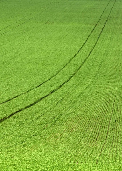 Landbouwgrond, geploegd veld, lente, landschap, landbouw, velden — Stockfoto
