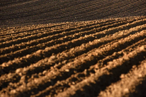 Ackerland, gepflügtes Feld, Frühling, Landschaft, Landwirtschaft, Felder — Stockfoto