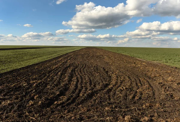 Zemědělské půdy, orání pole, jaro, krajina, zemědělská, pole — Stock fotografie
