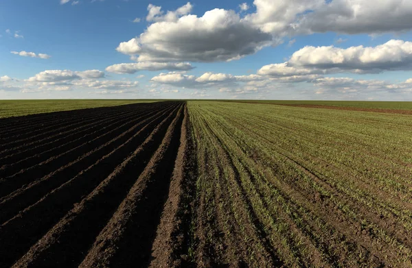Landbouwgrond, geploegd veld, lente, landschap, landbouw, velden — Stockfoto