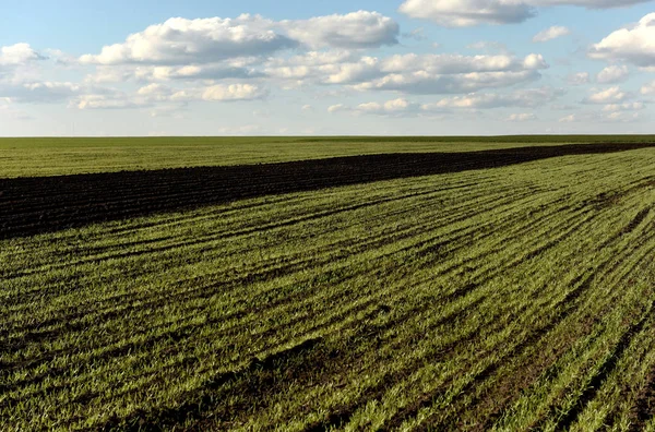 Tarım arazisi, sürülmüş tarla, Bahar, tarım, peyzaj, alanları — Stok fotoğraf