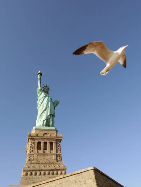 Статуя Свободы Нью Йорк Нью Йорк Сша Летающая Морская Птица — стоковое фото