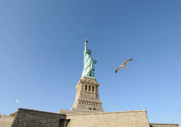 Statue Liberty New York City Usa Flying Sea Bird Statue — Stock Photo, Image