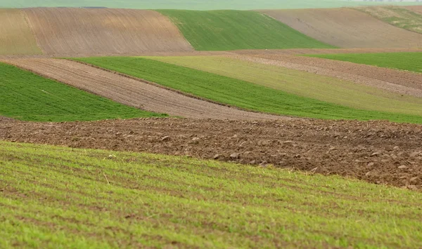 Terreni agricoli, campi arati, primavera, paesaggio, agricoltura, campi — Foto Stock