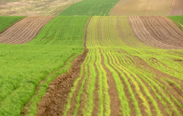 Tarım arazisi, sürülmüş tarla, Bahar, tarım, peyzaj, alanları — Stok fotoğraf