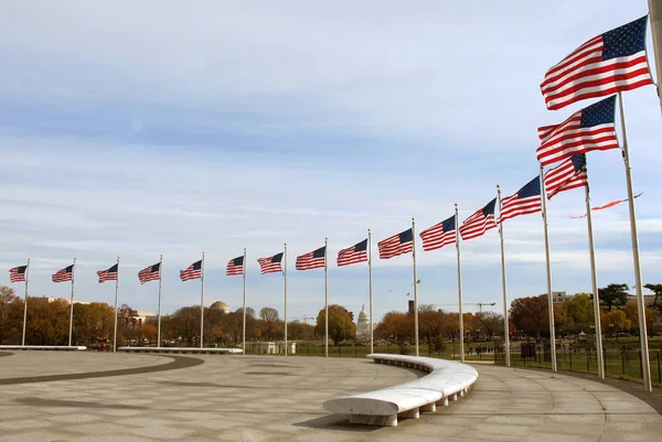 Row American flags in Washington DC — Stock Photo, Image