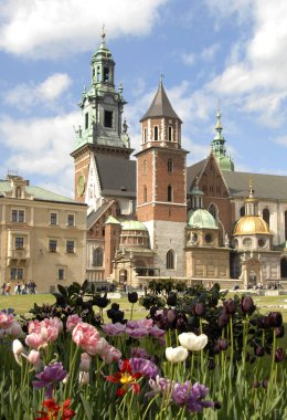 Wawel Kalesi, Krakow, Polonya