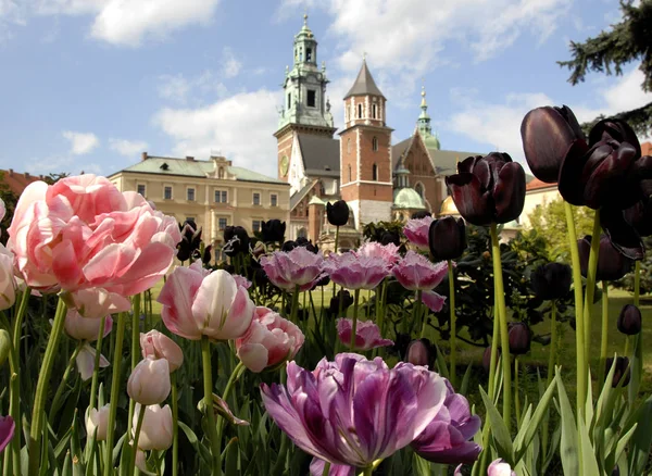 Wawel Kalesi, Krakow, Polonya — Stok fotoğraf