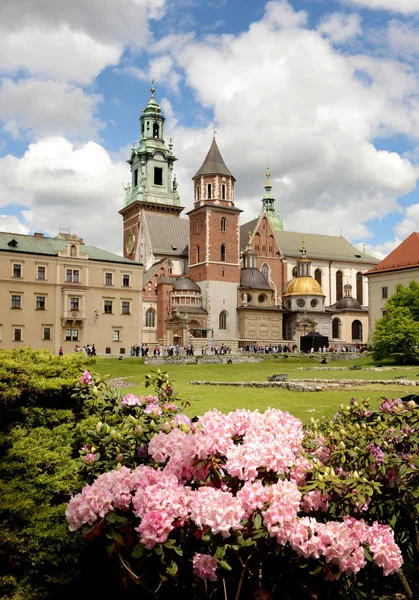 Замок Вавель, Краков, Польша — стоковое фото