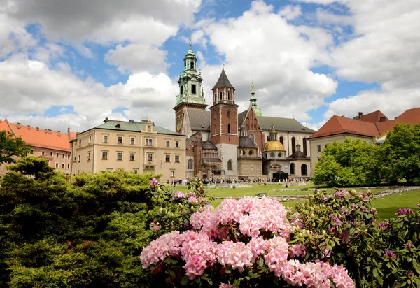 Wawel Kalesi, Krakow, Polonya — Stok fotoğraf