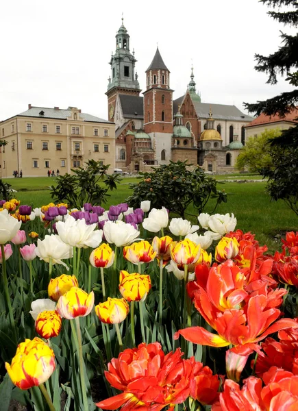 Wawel Kalesi, Krakow, Polonya — Stok fotoğraf