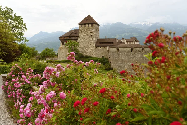 Gutenberg Castle in Vaduz, Liechtenstein. — 스톡 사진