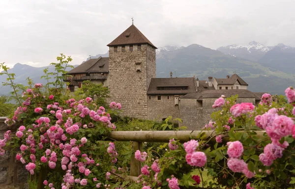 Castillo en Vaduz, Liechtenstein — Foto de Stock