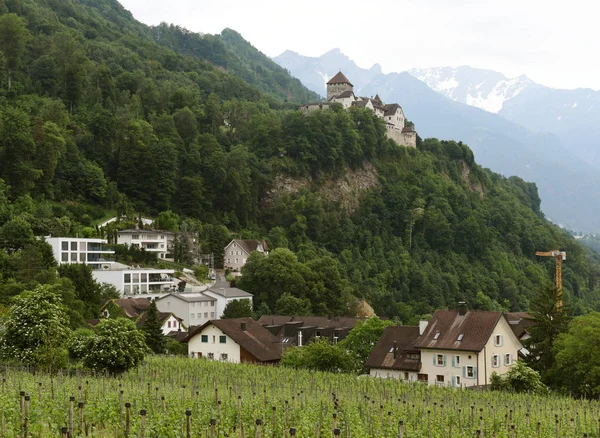 Kasteel Gutenberg in Vaduz, Liechtenstein. — Stockfoto