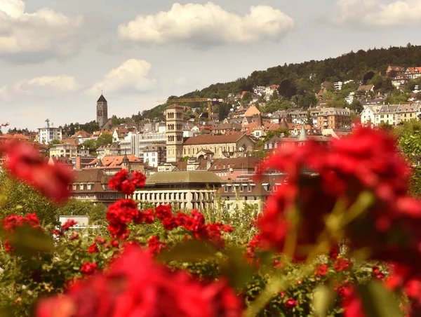 Panoráma města Curych s květy růží v popředí, Švýcarsko — Stock fotografie