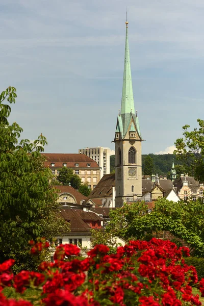 Ζυρίχη αστικό τοπίο με εκκλησία και τριαντάφυλλα λουλούδια Predigerkirche σε — Φωτογραφία Αρχείου