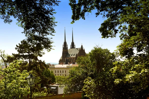 Kathedrale Peter Und Paul Brünn Tschechien — Stockfoto