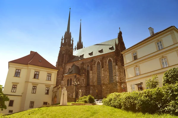 Çek Cumhuriyeti, Brno 'da Aziz Peter ve Paul Katedrali — Stok fotoğraf