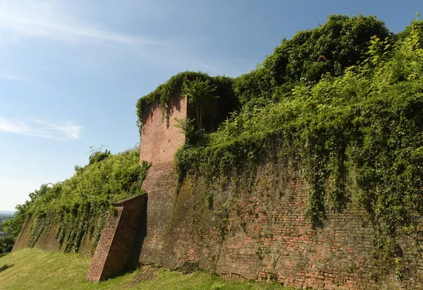 Spilberk kasteel in brno, Tsjechië. — Stockfoto