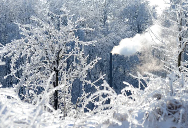 서리가 내린 겨울 날입니다. 굴뚝에서 증기 — 스톡 사진