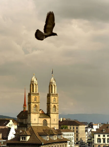 苏黎世城市景观与伟大的大教堂教堂 — 图库照片