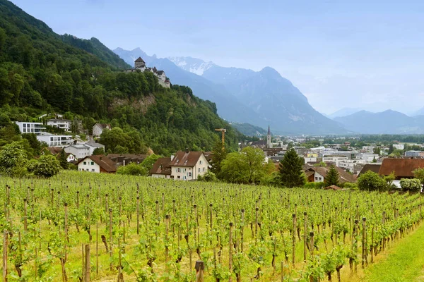 Paysage urbain de Vaduz, Liechtenstein — Photo