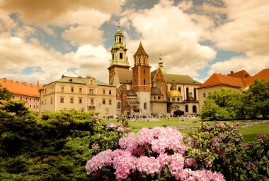 Wawel Kalesi, Krakow, Polonya