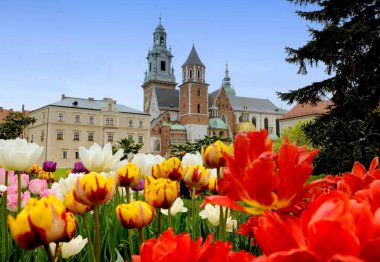 Wawel Kalesi, Krakow, Polonya