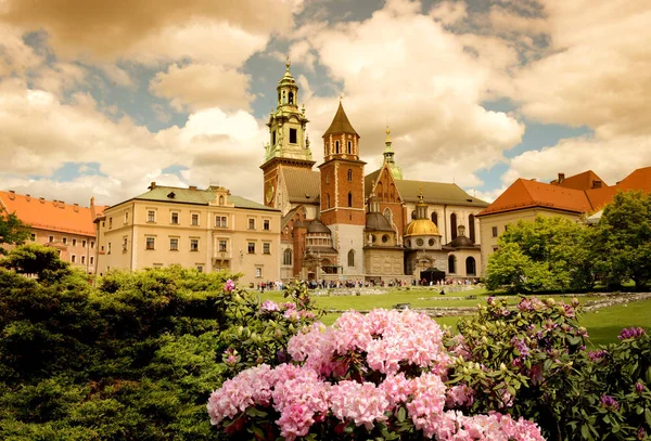 Wawel Kalesi, Krakow, Polonya — Stok fotoğraf