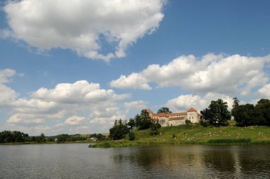 Svirzh Kalesi, Lviv region, Ukrayna