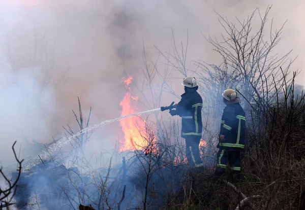 Los bomberos rocían agua a los incendios forestales. bombero extingue un —  Fotos de Stock