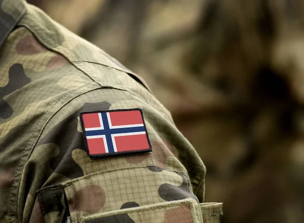 Askeri üniformalı Norveç bayrağı. Ordu, askerler, askerler.. — Stok fotoğraf