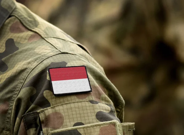 Monaco zászlója, katonai egyenruhában. Hadsereg, katonák. Kollázs. — Stock Fotó