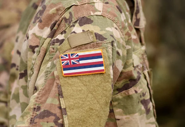 Σημαία της Χαβάης με στρατιωτική στολή. Ηνωμένες Πολιτείες. — Φωτογραφία Αρχείου