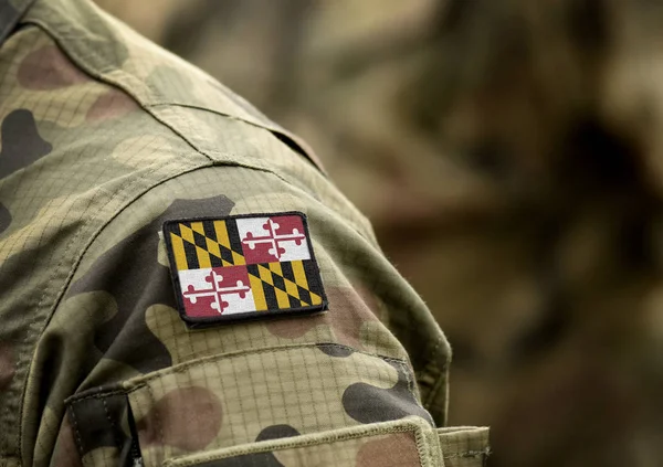 Drapeau de l'État du Maryland en uniforme militaire . — Photo